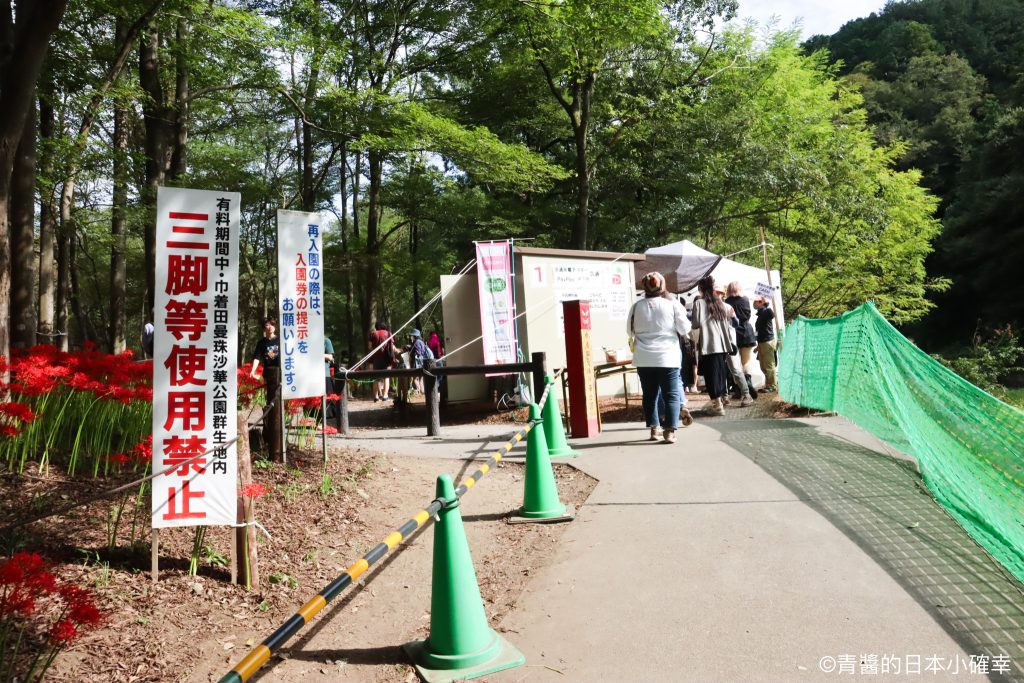 巾着田曼珠沙華公園