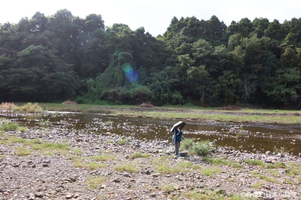 巾着田曼珠沙華公園