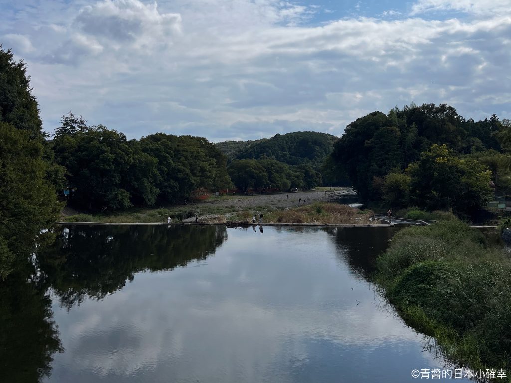 巾着田曼珠沙華公園