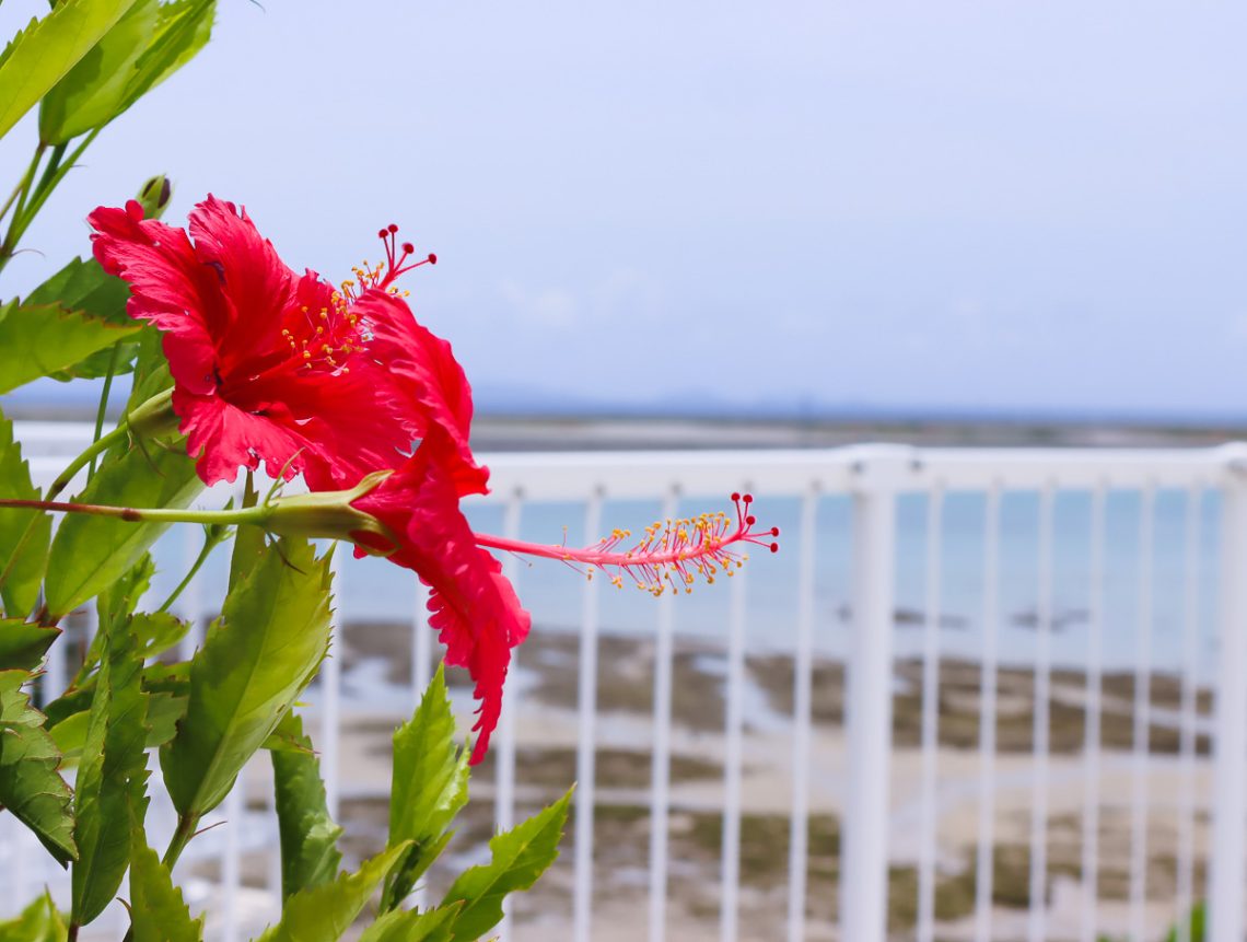 瀬長島UmikajiTerrace