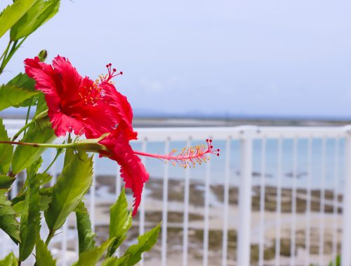 瀬長島UmikajiTerrace